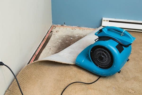 DASO Green Technologies Air mover over carpet